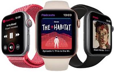 Apple Watch repair